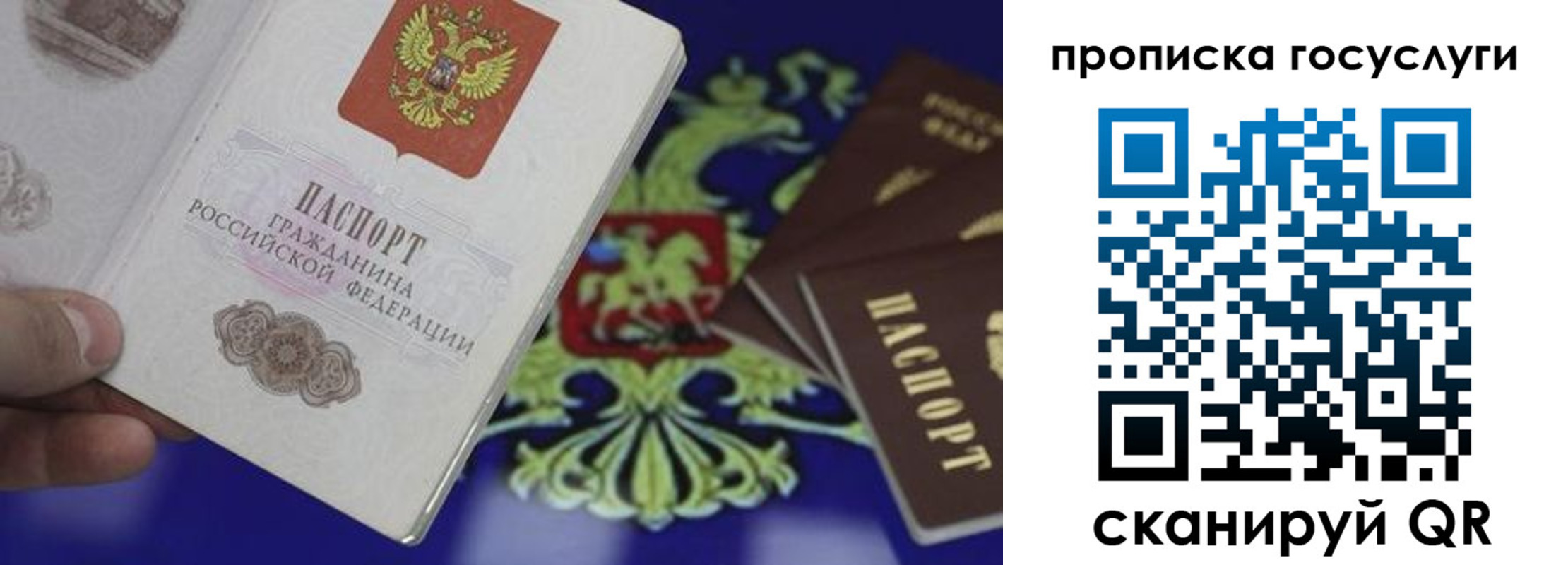 прописка для школы в Сясьстрое